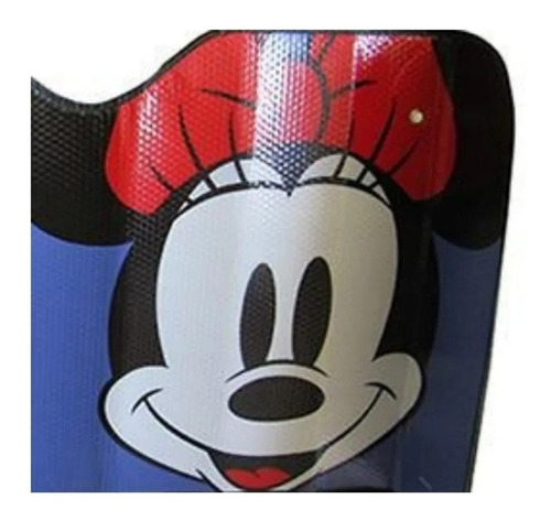 Tapetes Parasol Y Funda Minnie Chevrolet Astro 4.3 1997 Foto 4