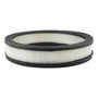 Filtro Aire Motor Para Chevrolet G20 4.1l L6 1975 A 1976