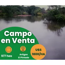 Campo 977 Hectáreas En Artigas - Ganadero Con Casa.