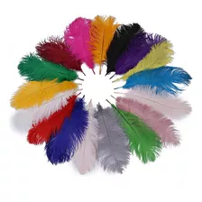 Plumas De Avestruz 15-20cm, 20 Piezas