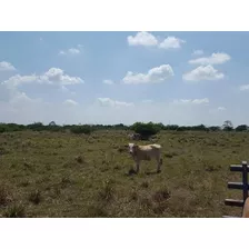 Rancho En Venta Fernando López Arias