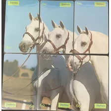 Serie Completa Cavalos / Telefonica / 6 Cartões / Andaluz