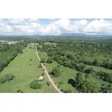 For Sale Finca De 242 Tareas Llanas San Francisco Macoris