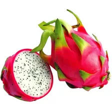 Mudas De Pitaya Polpa Branca, Vermelha E Rosa ( Ramos )