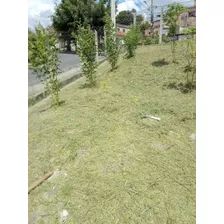 Terreno 213,05m² 