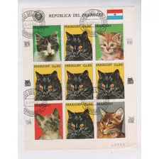 Estampillas De Paraguay Hoja Serie Animales Gatos Año 1984 