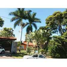 Casa Terrea, Arborizada, Chacara De Esquina Com Duas Entradas, Palmeira Unica Com Mais De 50 Anos, Local Com Possibilidade De Expanção, Loteamento Fechado Boa Segurança Com Valor Baixo De Condominio