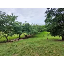 Venta De Lote En Santa Fe De Antioquia - Vereda El Espinal