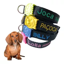 Coleira Para Cachorro Personalizada Nome Telefone Bordados 