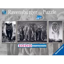 Rompecabezas Puzzle 1000 Pantera Elefantes León Ravensburger