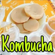 Scoby Para Kombucha + Kefir De Água Com Manual De Cultivo