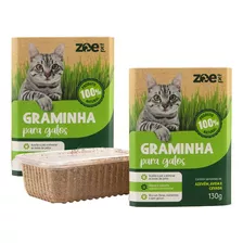 Graminha Gatos 2un Auxilia Digestão Eliminação Pelo Zoe Pet 