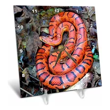 Serpientes Corn Snake Reloj De Computadora