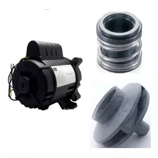 Motor Para Bomba De Piscina 3/4cv Igui 220v Selo E Rotor Weg