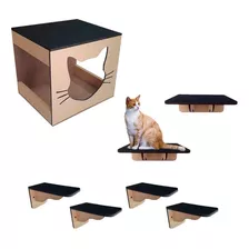 Playground Para Gato 7pçs Prateleira Degrau Caixa + Brinde