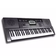 Organeta Sensible 5 8vas Medeli M311 Alternativa Yamaha 373