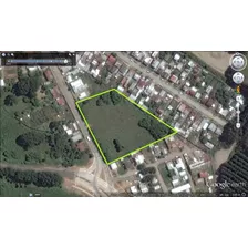 Industrial En Venta En Valdivia