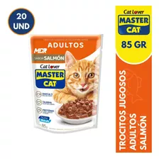 Master Cat Sachet Salmón 85gr X20 Und | Distribuidora Mdr