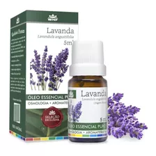 Oleo Essencial De Lavanda Francesa Puro E Natural 5ml - Wnf