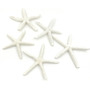 Segunda imagen para búsqueda de estrellas de mar decoracion