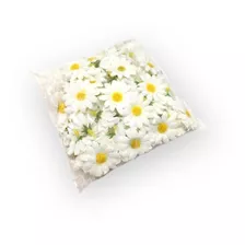 Flor Mini Margarida Artificial Pacote Com 100 Unidades Flor