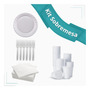 Terceira imagem para pesquisa de kit churrasco descartavel