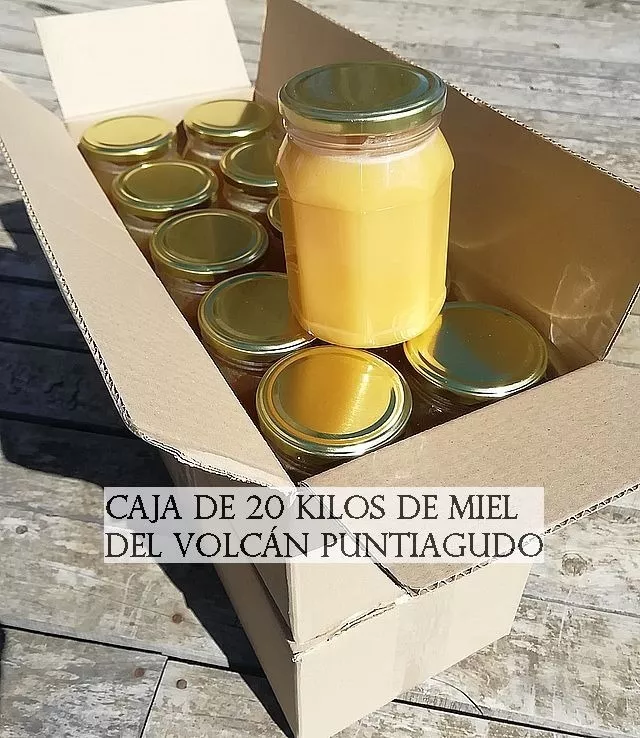 Miel Natural, Origen Del Lago Todos Los Santos,caja 20 Kilos
