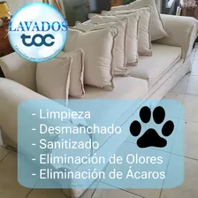 Limpieza Profesional De Sillones, Colchones Y Alfombras