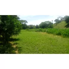  En Venta Finca Lote Ganadera En San Anterito Cordoba