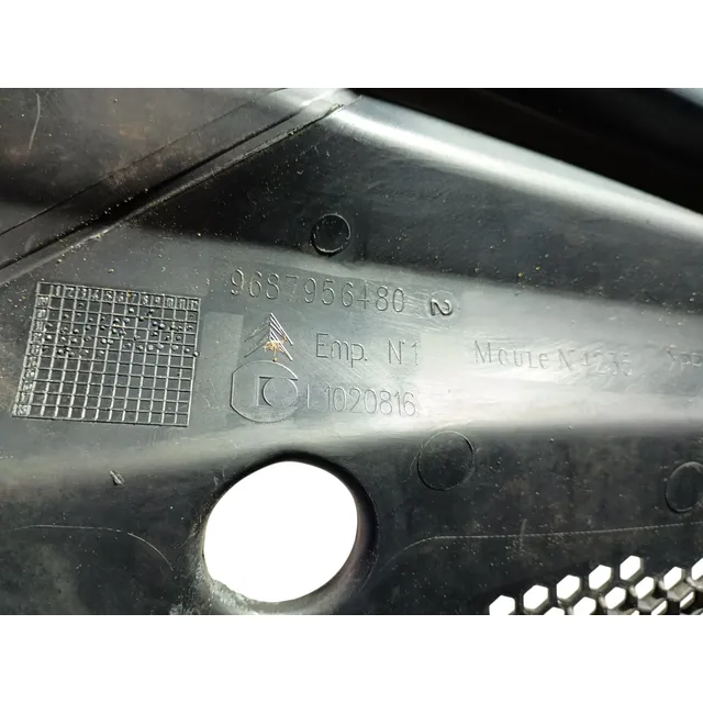 Grade Churrasqueira Parabrisa Citroen C4 Lounge 2014 A 2018 Preto Fosco 5