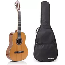 Hola Guitarra Acustica Dreadnought De Lujo Hg41 Tamaño Com