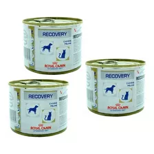 Pate Tratamento Recovery Royal Canin Cães/gatos 3 Unid