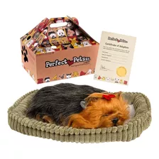 Filhote Pelúcia Yorkie Perfect Petzzz