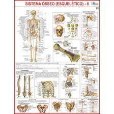 Mapa Sistema Esquelético 2 - 1,20 X 0,90m