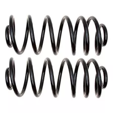 Professional 45h1156 Rear Coil Spring Set