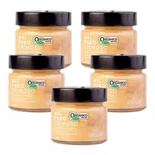 Kit 5 Potes De Mel Puro Cremoso Orgânico 240g