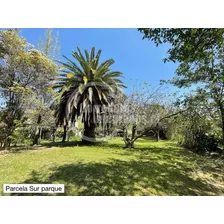 Casa Venta 5 Dorm La Florida, Gran Terreno, Parque Piscina