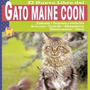 Tercera imagen para búsqueda de gato maine coon