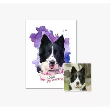 Border Collie Retrato De Mascota Perro Digital Personalizado