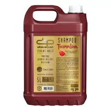 Shampoo Neutralizador De Odores Dolce Pet - 5 L