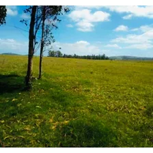 Chacra De 8 Hectáreas Con Casa De 3 Dormitorios, A 2km De San Carlos