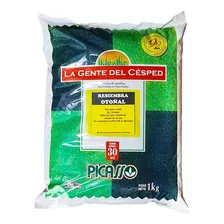 Resiembra Otoñal Rye Grass Anual Y Perenne 1kg Picasso
