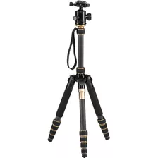 Came-tv Q66c Carbon Fiber TriPod With Ball Head