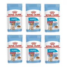 Kit 6 Unidades Ração Sachê Wet Medium Puppy 140g Royal Canin