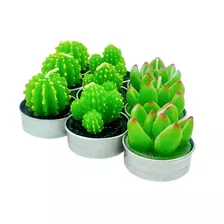 Pack 12 Velas Recuerdo Souvenir Vela Cactus Suculenta 4x5cms