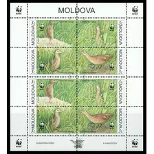 Fauna - Wwf - Codorniz Rey - Moldavia - Hojita Mint