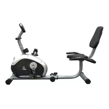 Bicicleta Fija Magnética Recumbent Horiz World Fitness T9000 Color Gris Plata