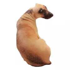 Almofada 3d Meme Viral Cachorro Caramelo 50 Cm Cor Marrom 