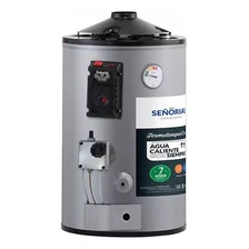 Termotanque Señorial Family Dual Eléctrico/gas Tgep1-30 Gris 30 L