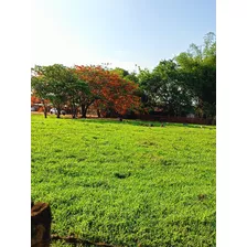 Gleba Em Barretos - Terreno , Lote , Fazenda , Casa , Condomínio , Rural , Sítio , Chácara , Loteamento